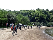 P7120030.JPG (505541 bytes)