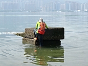 P7120037.JPG (237684 bytes)