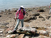 P7120049.JPG (601301 bytes)
