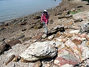 P7120050.JPG (605873 bytes)