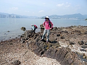 P7120058.JPG (469699 bytes)