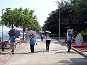 P7190013.JPG (415432 bytes)