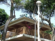 P7190021.JPG (538897 bytes)
