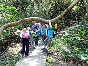 P7190100.JPG (621806 bytes)