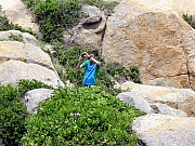 P7190145.JPG (723486 bytes)