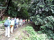 P7260018.JPG (622050 bytes)