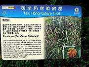 P7260020.jpg (370319 bytes)