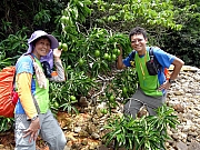 P7260103.JPG (591054 bytes)
