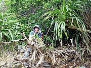 P7260105.JPG (606749 bytes)