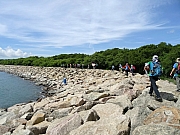 P8020059.JPG (377265 bytes)