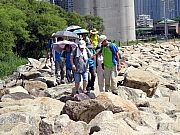 P8020061.JPG (530632 bytes)