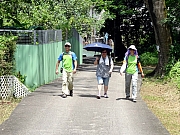 P8020100.JPG (500105 bytes)