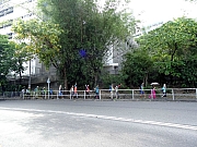 P8090001.JPG (491868 bytes)