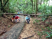 P8160010.JPG (439529 bytes)