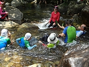 20150823_55.JPG (374941 bytes)