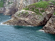 P8300060.JPG (534503 bytes)