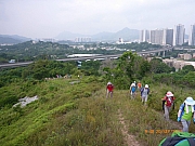 pic_Wai_010.JPG (317334 bytes)