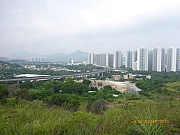 pic_Wai_011.JPG (252675 bytes)