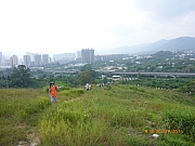 pic_Wai_013.JPG (269397 bytes)