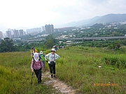 pic_Wai_015.JPG (298781 bytes)