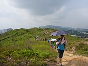 pic_Wai_020.JPG (227773 bytes)