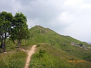 pic_Wai_022.JPG (267065 bytes)