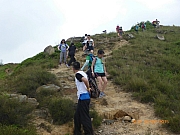 pic_Wai_028.JPG (253813 bytes)