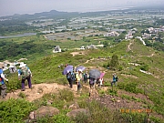pic_Wai_047.JPG (402916 bytes)