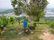 pic_Wai_051.JPG (530503 bytes)