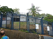 pic_Wai_074.JPG (413265 bytes)