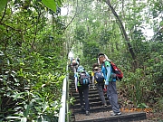 pic_Wai_081.JPG (534753 bytes)