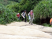 P9270050.JPG (538013 bytes)