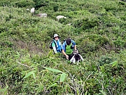 P9270088.JPG (716806 bytes)