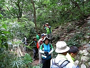 PA110006.JPG (478039 bytes)