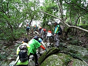 PA110007.JPG (612374 bytes)