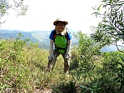 PA180020.JPG (599676 bytes)
