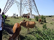 PA180021.JPG (495167 bytes)