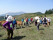 PA180059.JPG (442417 bytes)