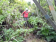 PA250020.JPG (645257 bytes)