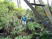 PA250022.JPG (578265 bytes)