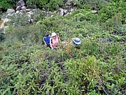 PB010111.JPG (650249 bytes)