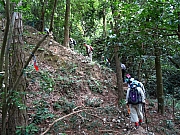 PB080026.JPG (601881 bytes)