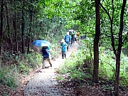 PB150014.JPG (475123 bytes)
