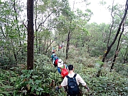 PB150041.JPG (589148 bytes)