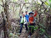 PB220020.JPG (589558 bytes)