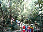 PB220032.JPG (496460 bytes)