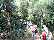 PB220033.JPG (557795 bytes)