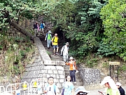 PB290038.JPG (535656 bytes)