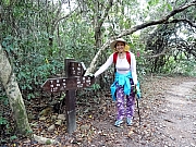 PC060039.JPG (614613 bytes)