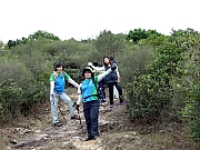 PC060042.JPG (403847 bytes)